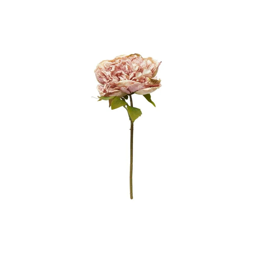Kunstige Blomster Evighedsblomster Pæon På Stilk Rosa
